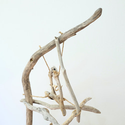 afcfca26bc7e56fd91b5a3034b5bc3