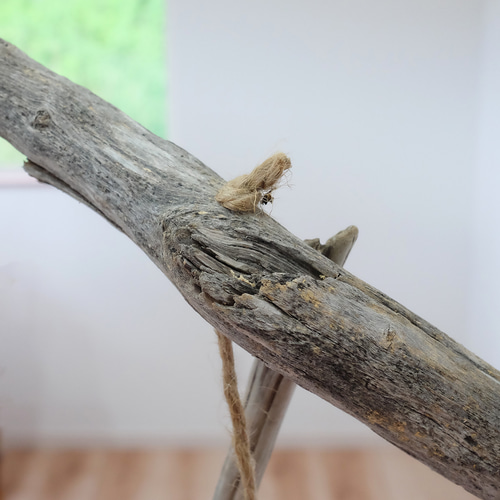 縦型流木バードアスレチック｜LL キャスター付き ハウス・小屋