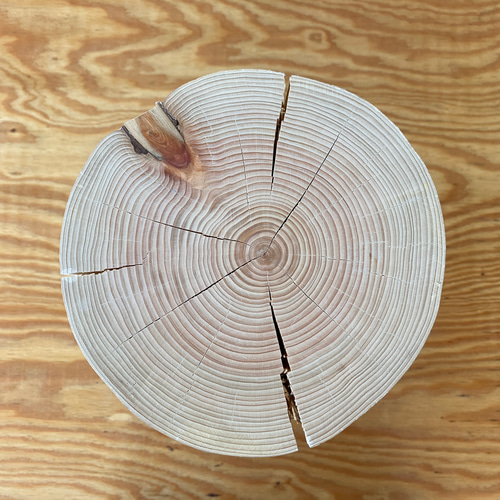 白ペンキ ひのき切り株】インテリア サロン 什器 寝室 トイレ 丸太 花