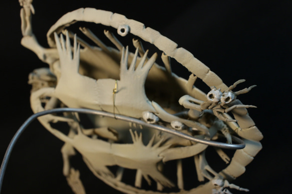 【受注生産】アオウミガメ 18㎝縮小全身骨格レプリカ 5枚目の画像
