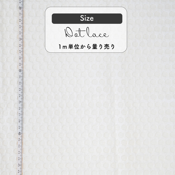 レース量り売り　ドットレース　ホワイト　140cm巾　1ｍ単位から★ 2枚目の画像