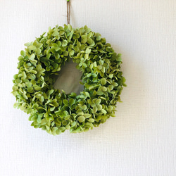 残り1点】紫陽花アナベルの爽やかボールリース♪ リース Dans les bois