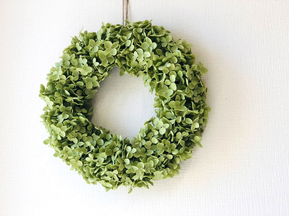 紫陽花アナベルのリース♪〜Lサイズ〜 リース Dans les bois 通販