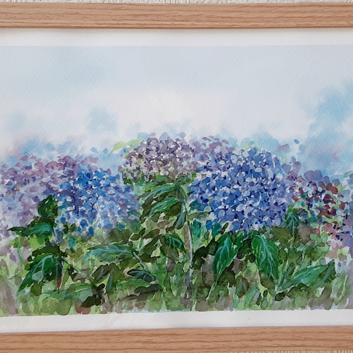 紫陽花と紫露草　水彩画　原画 紫陽花の水彩画原画フレーム付き送料無料 絵画 takakei 通販 14206720