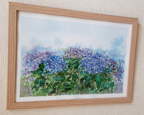 青い紫陽花　水彩画　原画 紫陽花の水彩画原画フレーム付き送料無料 絵画 takakei 通販 14206720