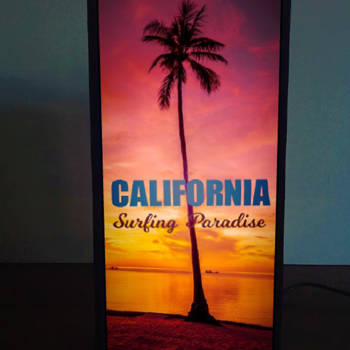 カリフォルニア サーフビーチ 夕焼け 夕日 ヤシの木 写真 フォト