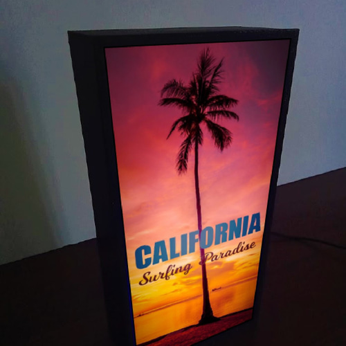 カリフォルニア サーフビーチ 夕焼け 夕日 ヤシの木 写真 フォト