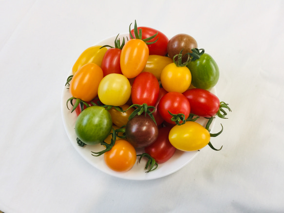 サザキ農園のミックスミニトマト　彩りバラエティーセット2.5kg 2枚目の画像