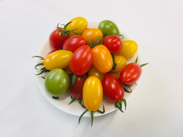 サザキ農園のプラム型ミニトマト 食べ比べセット2kg 2枚目の画像