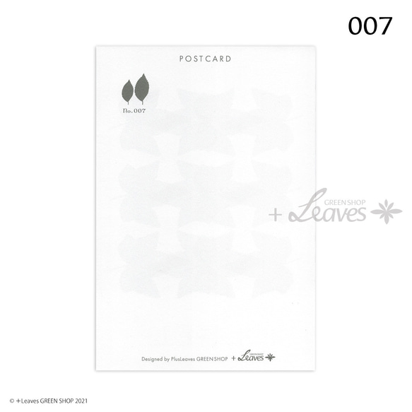 007 アイビー 植物ポストカード 【日本郵便クリックポスト対応：可/1通40枚まで】ヘデラ アイビー ツタ 3枚目の画像