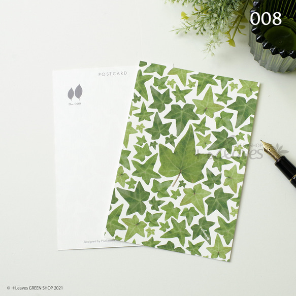 008 星の葉 植物ポストカード 【日本郵便クリックポスト対応：可/1通40枚まで】ヘデラ アイビー ツタ 1枚目の画像