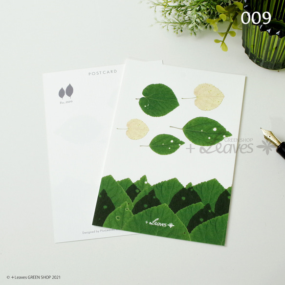009 海と魚　桂（カツラ） 植物ポストカード 【日本郵便クリックポスト対応：可/1通40枚まで】 1枚目の画像