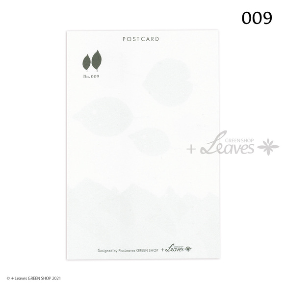 009 海と魚　桂（カツラ） 植物ポストカード 【日本郵便クリックポスト対応：可/1通40枚まで】 3枚目の画像