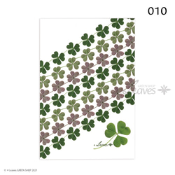 010 カタバミ 植物ポストカード 【日本郵便クリックポスト対応：可/1通40枚まで】ハート 2枚目の画像