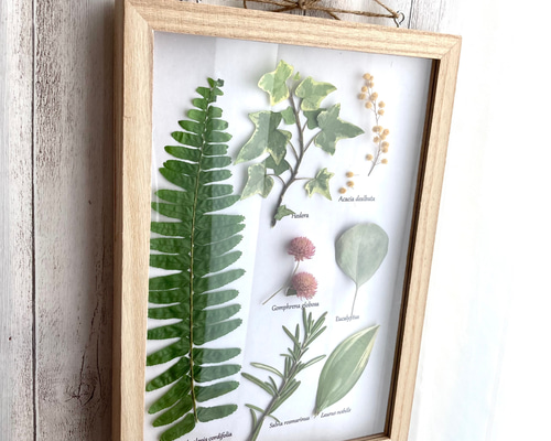 f3fe50bf181adb60fafeb0501a9729