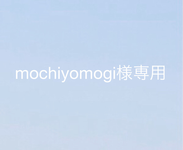 mochiyomogi様専用 1枚目の画像