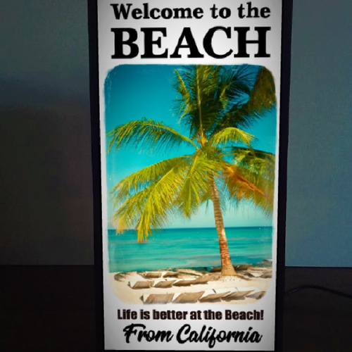 カリフォルニア パームビーチ サーフィン 夏 海 砂浜 写真