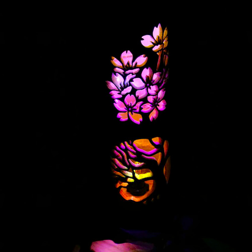 竹あかり彩と華〜〜1本桜〜〜2つの美しさが楽しめる