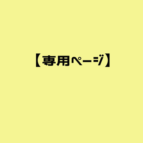 専用ページ 1枚目の画像