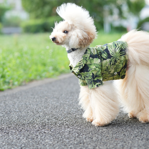 犬服 ワンコ服 アロハシャツ リーフ柄 小型犬 中型犬 ペット服