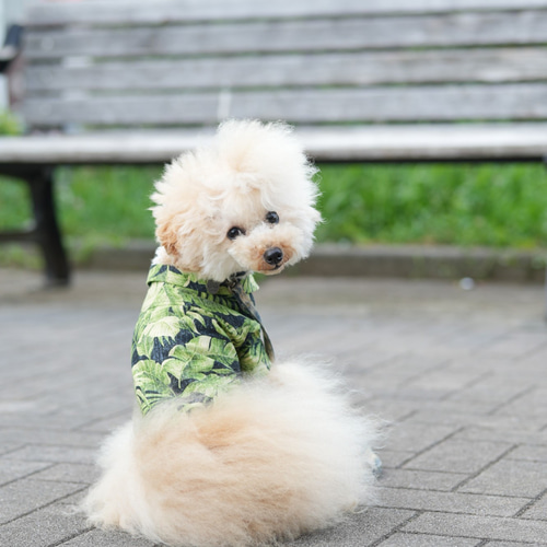 犬服 ワンコ服 アロハシャツ リーフ柄 小型犬 中型犬 ペット服