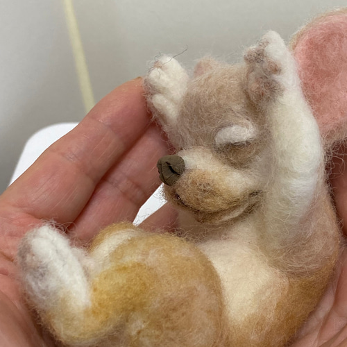チワワ 寝姿 ベージュ 羊毛フェルト Wool Whisper 通販 14211292