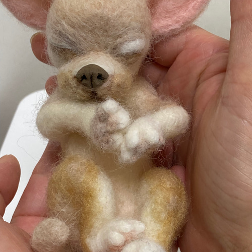 羊毛フェルト　チワワ　寝落ちわわ チワワ 寝姿 ベージュ 羊毛フェルト Wool Whisper 通販 14211292