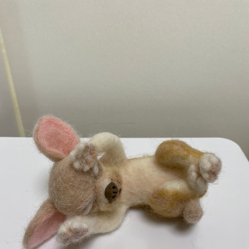 チワワ 寝姿 ベージュ 羊毛フェルト Wool Whisper 通販 14211292