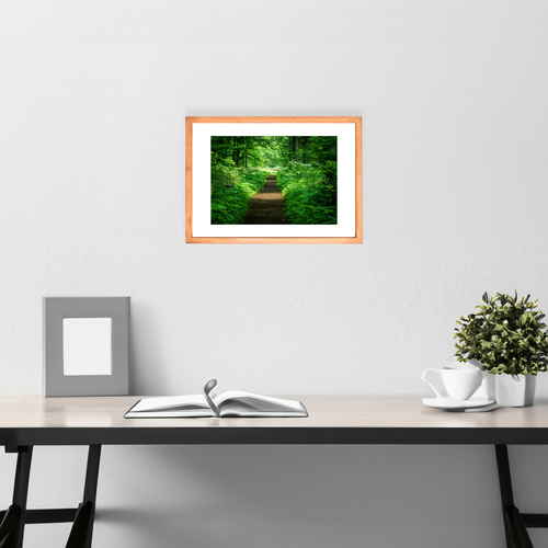 A4、A3可能】初夏の緑の森の道。北海道風景写真 写真・グラフィック 森