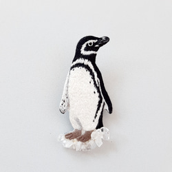 [picture book] 刺繍ブローチ (Magellanic penguin) 2枚目の画像