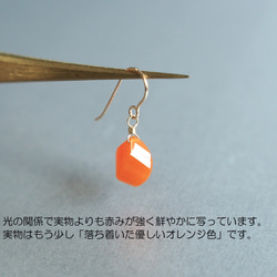  第2張的照片