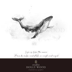 ☆インテリアアートポスター -Humpback whale-【388】 7枚目の画像