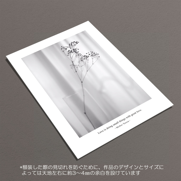 ☆インテリアフォトポスター -Baby’s breath-【427】 6枚目の画像