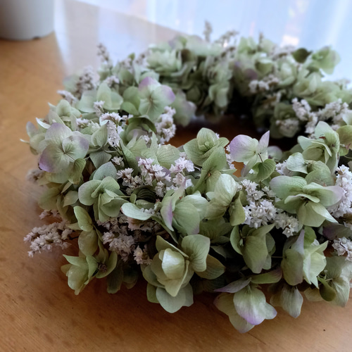 送料無料]オレガノケントビューティーのふんわりリース ドライフラワー  