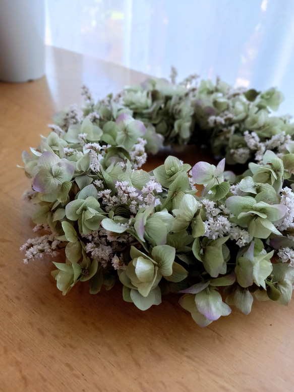 スモークツリー とかすみ草のフライングリース　オレガノ　ケントビューティー スモークツリー とかすみ草のフライングリース オレガノ ケント