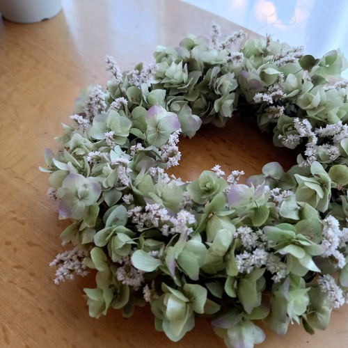 送料無料]オレガノケントビューティーのふんわりリース ドライフラワー