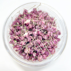TUBOMI　NO.106　かすみ草　蕾　ドライフラワー 　花材　ダスティーピンク　くすみピンク 2枚目の画像