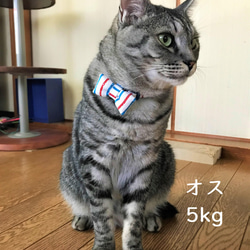 猫用蝶ネクタイ●46パッチワーク／レース・白 8枚目の画像