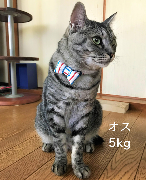 猫用蝶ネクタイ●46パッチワーク／レース・白 8枚目の画像