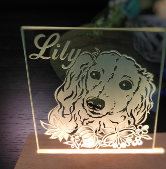 LEDライト版】ペットのアートフレーム ～思い出を形に～ 犬猫OKです 