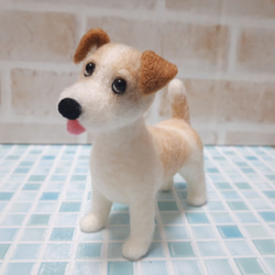 ジャックラッセルテリア 羊毛フェルト manahata 通販 14215425｜Creema