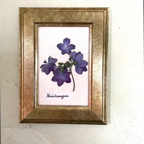 紫陽花 アジサイ 押し花アート フレームアート プレゼント