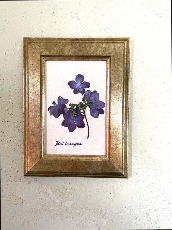 紫陽花 アジサイ 押し花アート フレームアート プレゼント インテリア