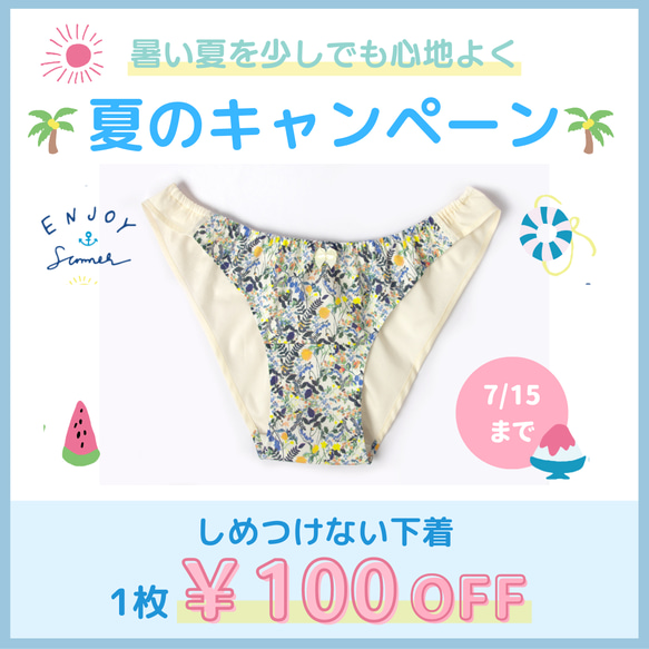 ＜夏のキャンペーンのお知らせ＞しめつけない下着１枚￥100引 セール 夏 値引き お得 ふんどしパンツ ふんティ ヘンプ 1枚目の画像