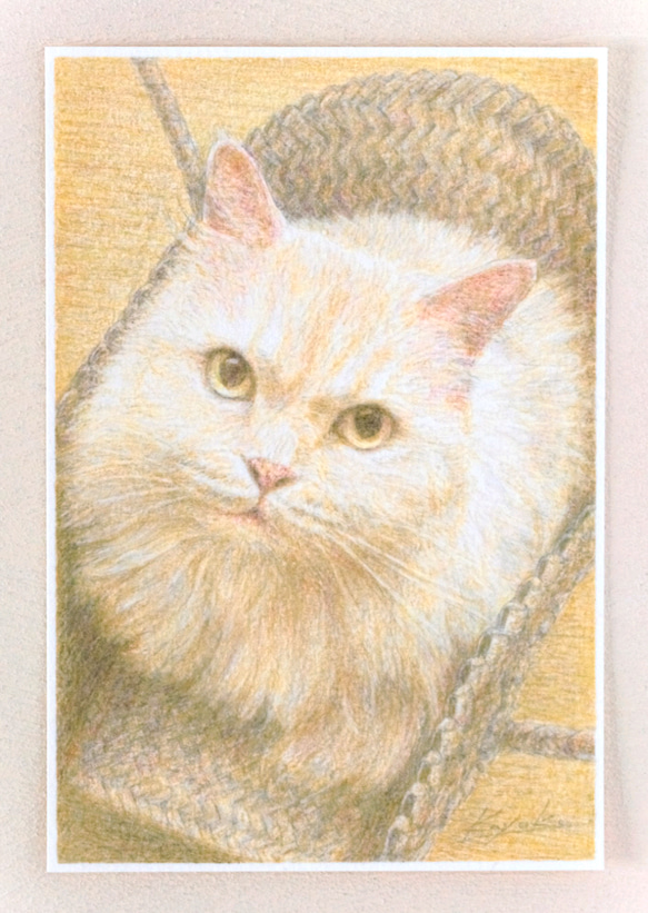 ペットの肖像画描きます〈彩色鉛筆画〉　オーダーメイド　ポストカードサイズ 11枚目の画像