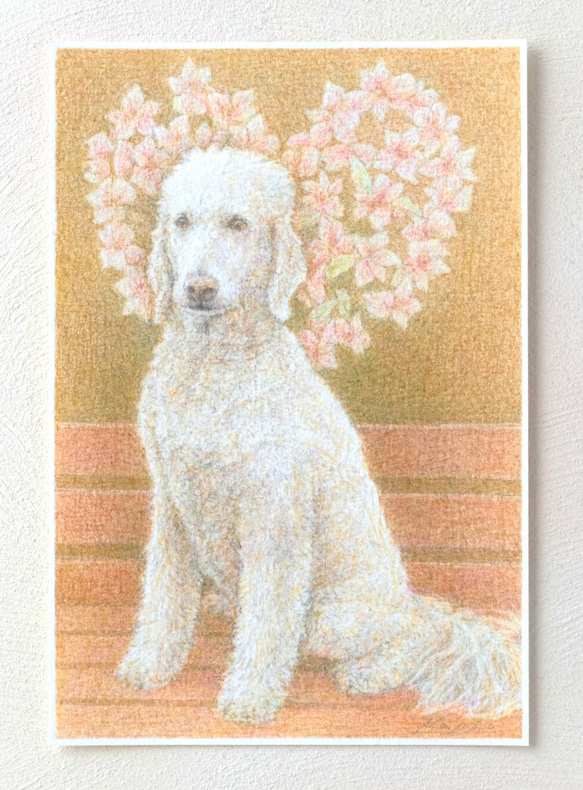 ペットの肖像画描きます〈彩色鉛筆画〉　オーダーメイド　ポストカードサイズ 15枚目の画像