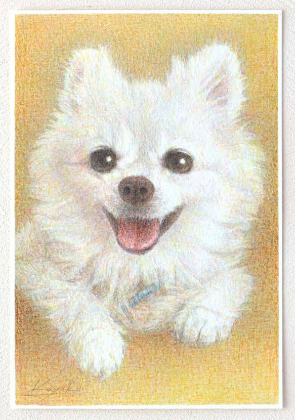ペットの肖像画描きます〈彩色鉛筆画〉　オーダーメイド　ポストカードサイズ 2枚目の画像