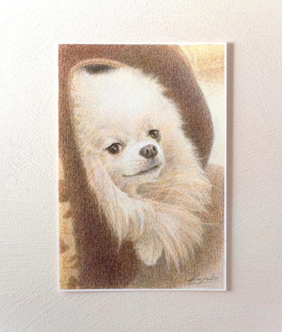 ペットの肖像画描きます〈彩色鉛筆画〉　オーダーメイド　ポストカードサイズ 18枚目の画像