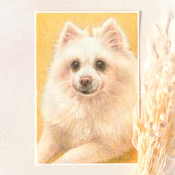 ペットの肖像画描きます〈彩色鉛筆画〉　オーダーメイド　ポストカードサイズ 6枚目の画像
