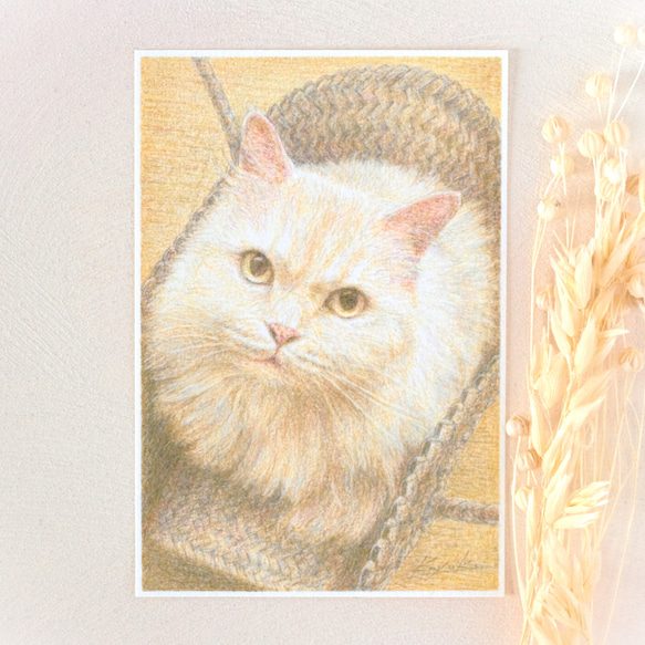 ペットの肖像画描きます〈彩色鉛筆画〉　オーダーメイド　ポストカードサイズ 10枚目の画像